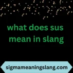 what does sus mean in slang