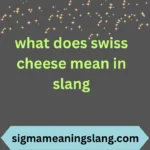 what does swiss cheese mean in slang