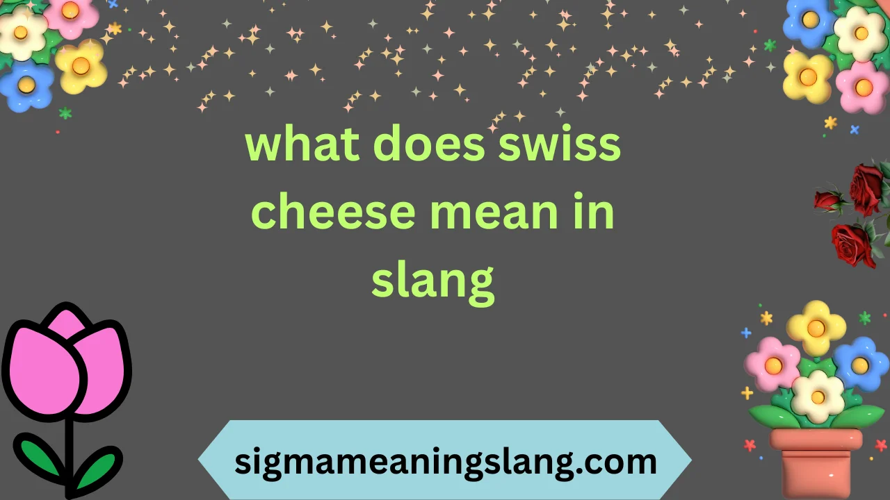 what does swiss cheese mean in slang