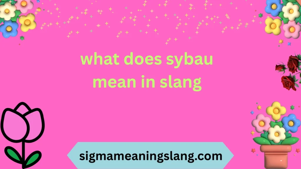 what does sybau mean in slang