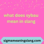 what does sybau mean in slang