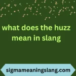 what does the huzz mean in slang