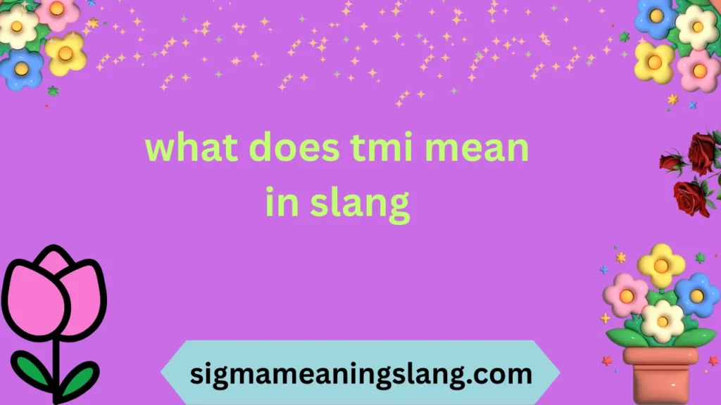what does tmi mean in slang