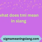 what does tmi mean in slang