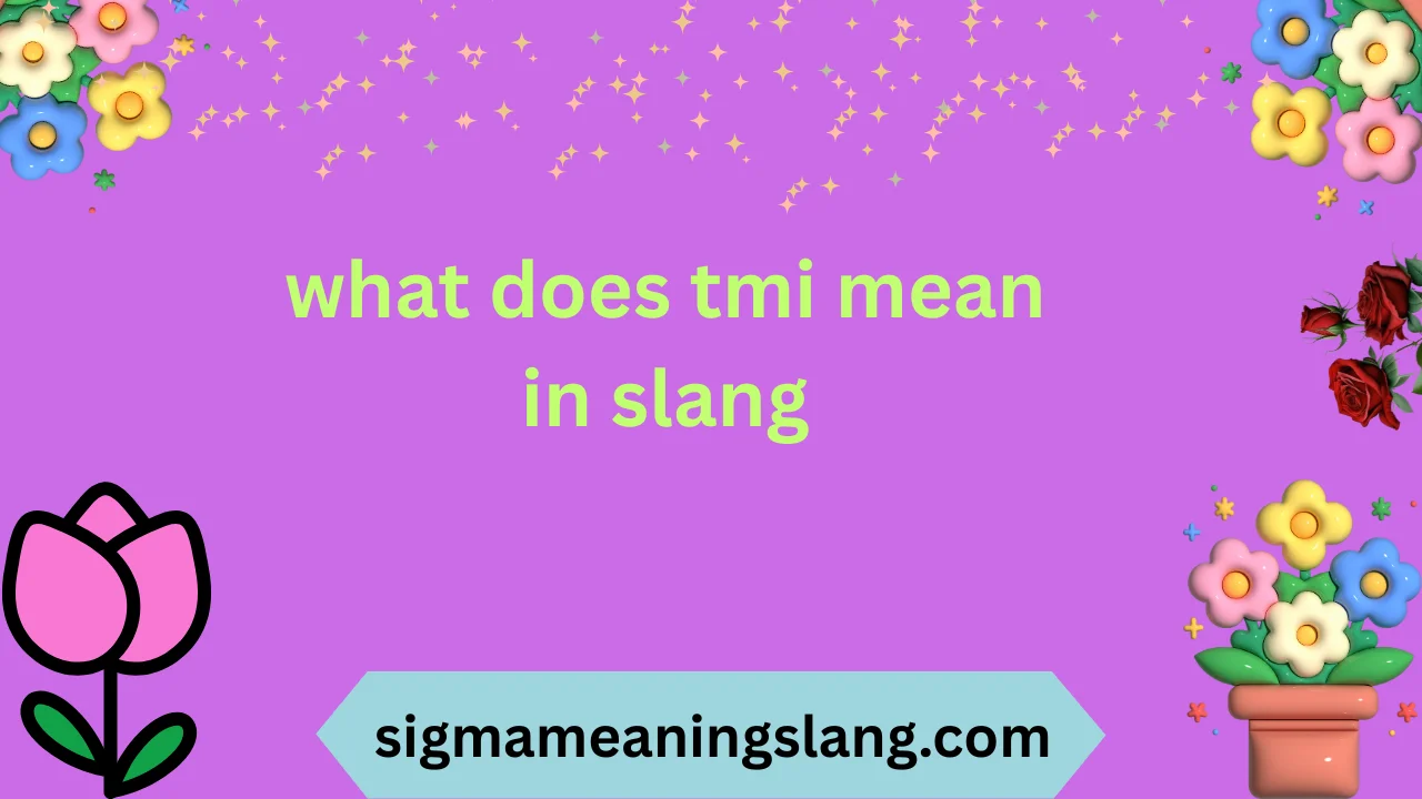 what does tmi mean in slang