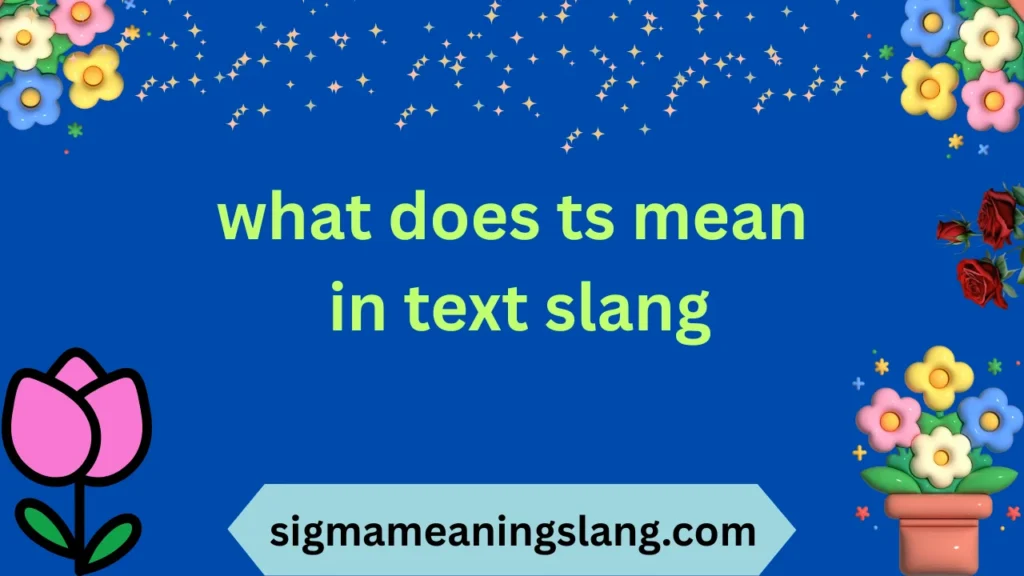 what does ts mean in text slang
