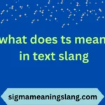 what does ts mean in text slang
