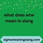 what does wtw mean in slang