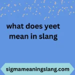 what does yeet mean in slang