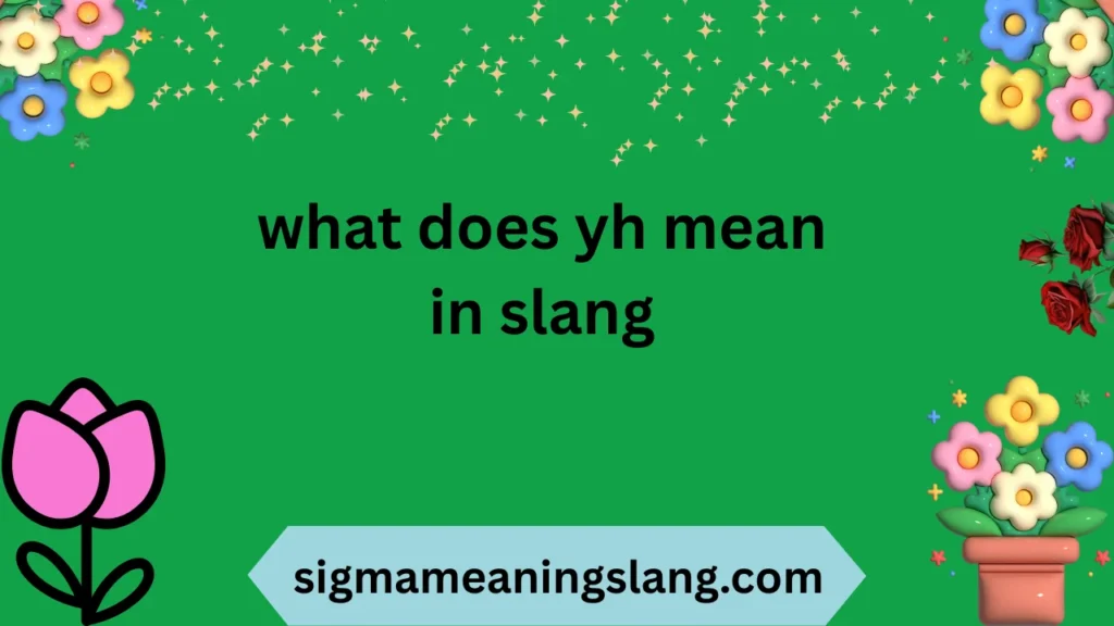 what does yh mean in slang