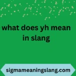 what does yh mean in slang