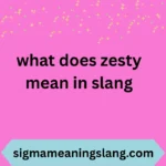 what does zesty mean in slang