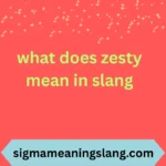 what does zesty mean in slang