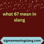 what 67 mean in slang