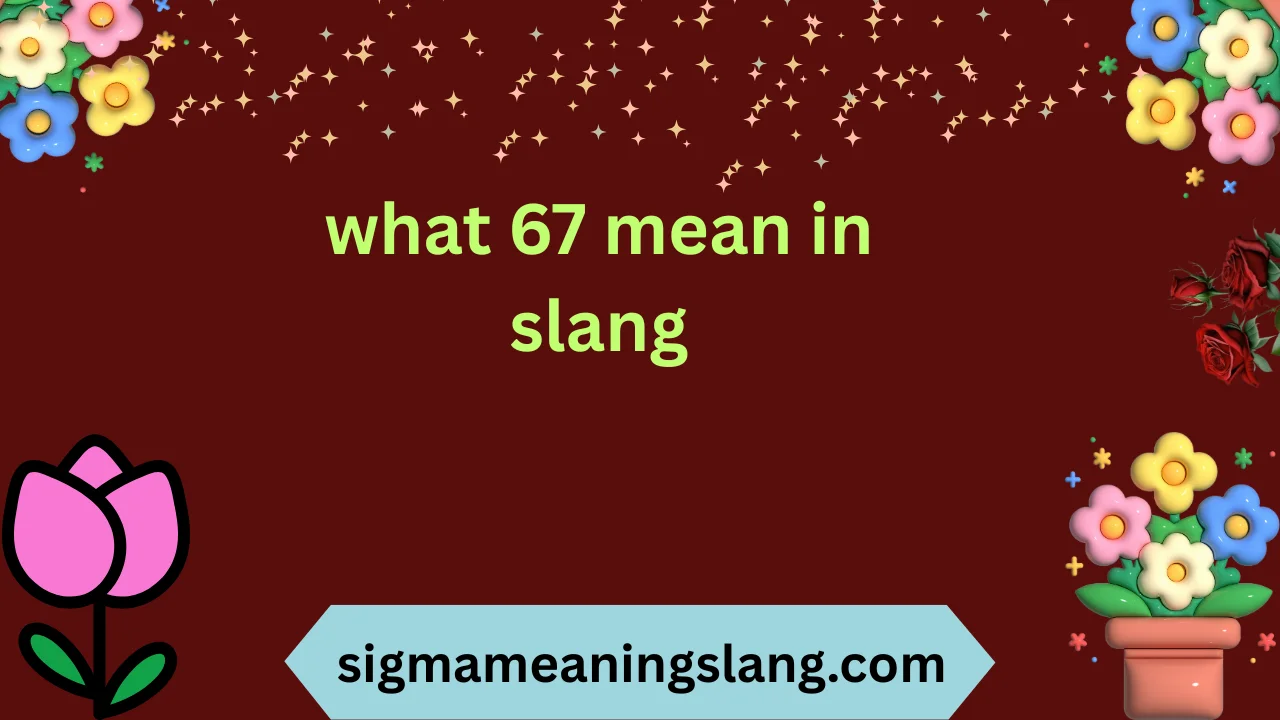 what 67 mean in slang