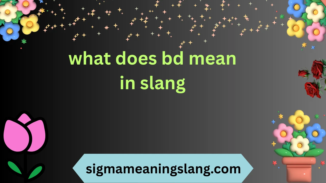 what does bd mean in slang