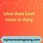 what does boof mean in slang