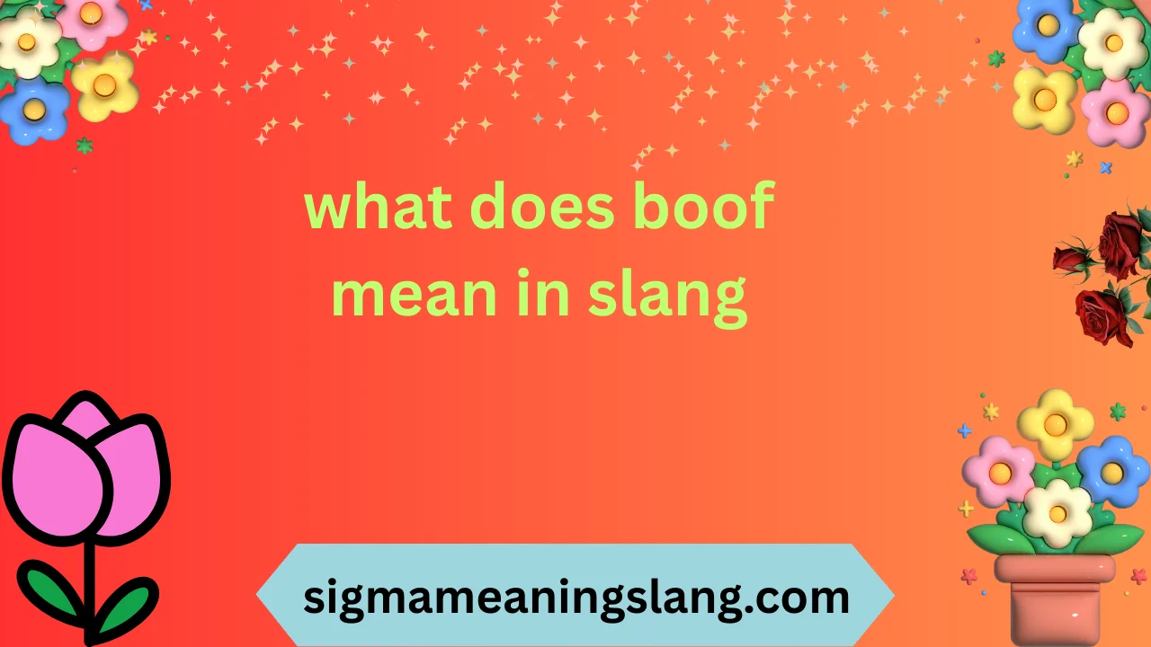 what does boof mean in slang