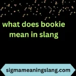what does bookie mean in slang