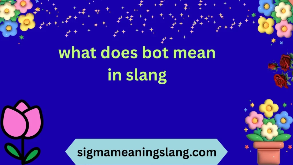 what does bot mean in slang