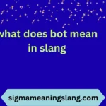 what does bot mean in slang