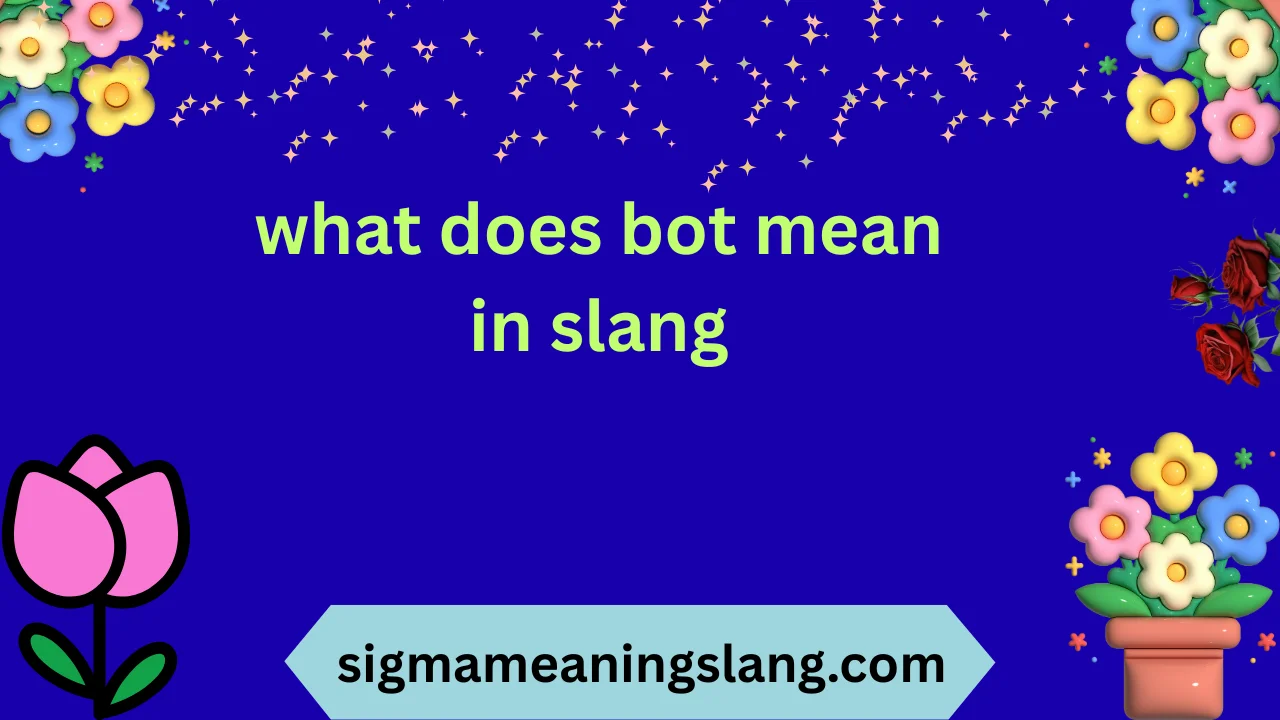 what does bot mean in slang
