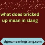 what does bricked up mean in slang