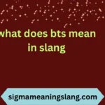 what does bts mean in slang