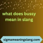 what does bussy mean in slang