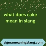 what does cake mean in slang