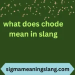 what does chode mean in slang