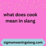 what does cook mean in slang