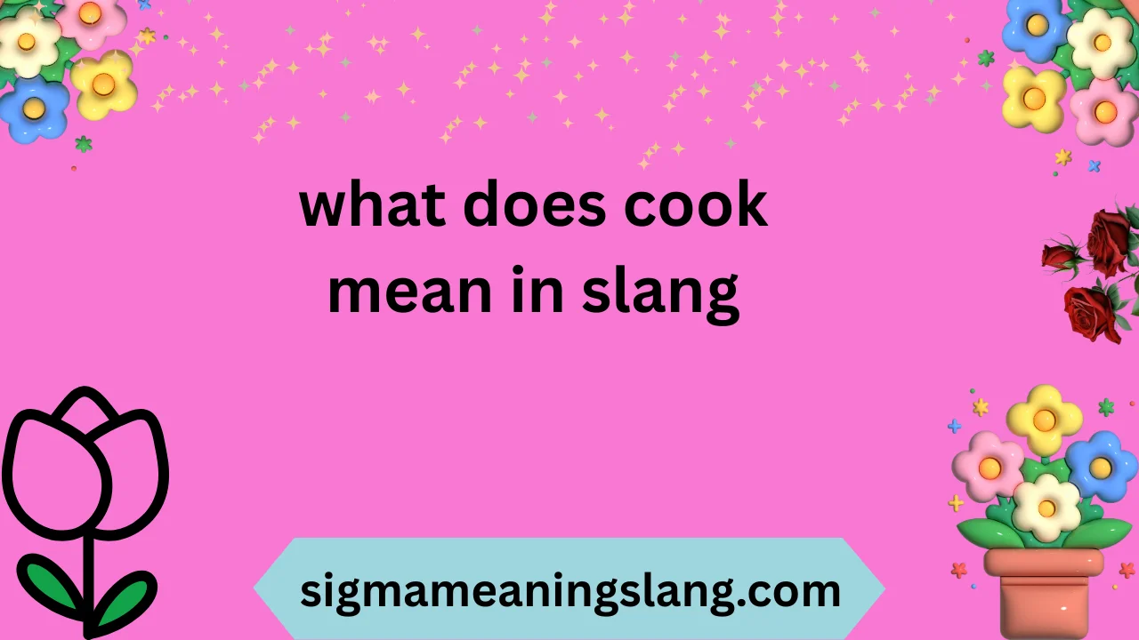what does cook mean in slang