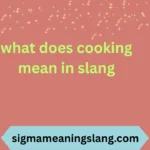 what does cooking mean in slang