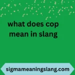 what does cop mean in slang