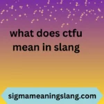 what does ctfu mean in slang