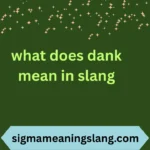 what does dank mean in slang