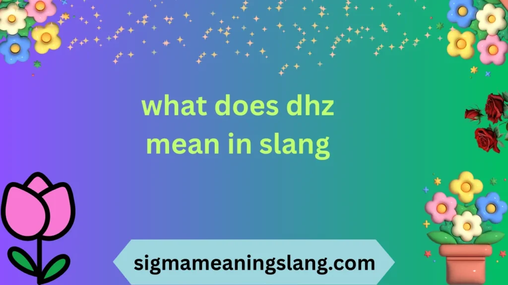 what does dhz mean in slang