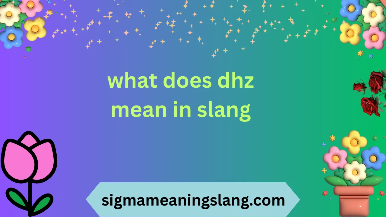 what does dhz mean in slang
