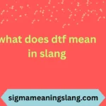 what does dtf mean in slang