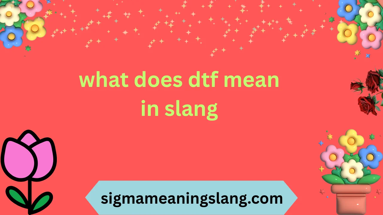 what does dtf mean in slang
