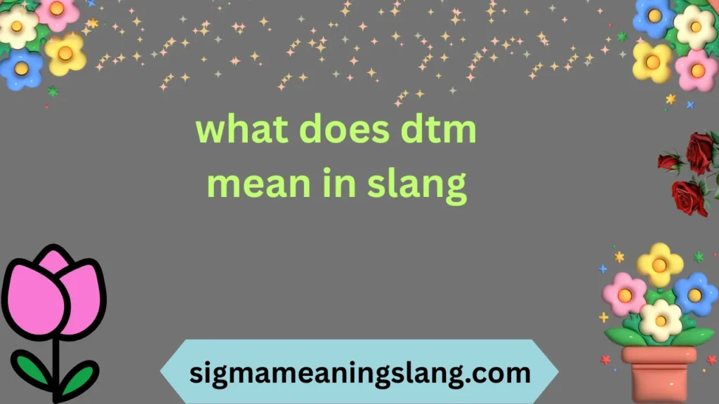 what does dtm mean in slang