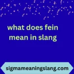 what does fein mean in slang