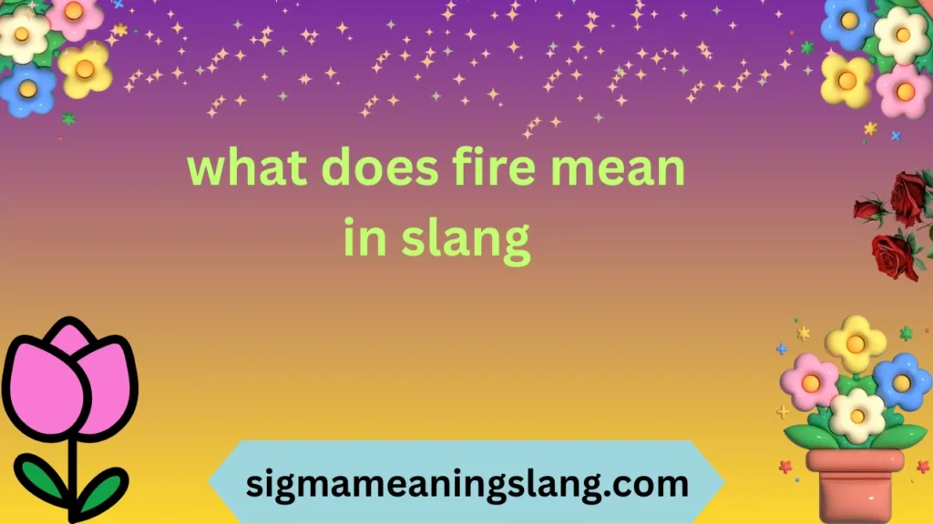 what does fire mean in slang