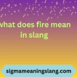 what does fire mean in slang