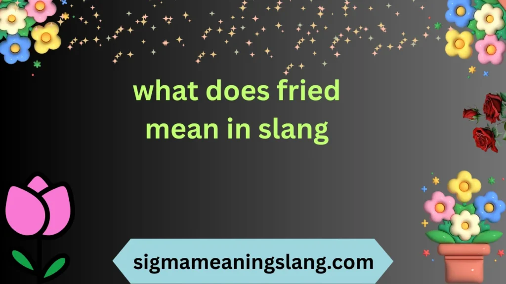 what does fried mean in slang
