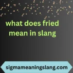 what does fried mean in slang