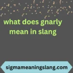 what does gnarly mean in slang