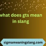 what does gts mean in slang