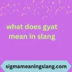 what does gyat mean in slang